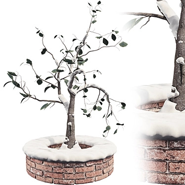 Winter Wonderland Outdoor Plant Set 3D model image 1 