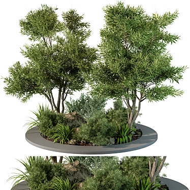 Outdoor Plant 2015 Growth Bundle 3D model image 1 