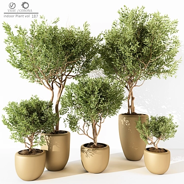 2015 Indoor Plant 187 Model 3D model image 1 