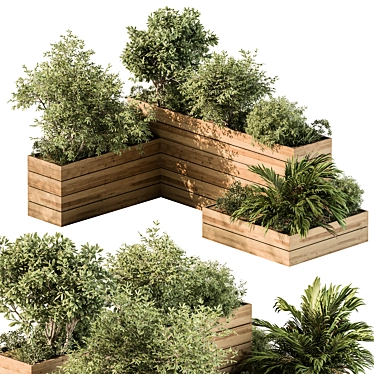  Botanical Box - Garden Flora 3D model image 1 