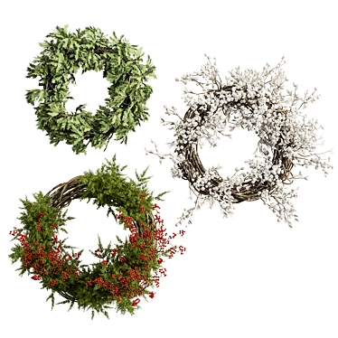 Variety Wreath Set Trio 3D model image 1 