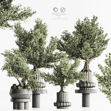 Artificial Bonsai Home Decor Set 3D model image 1 