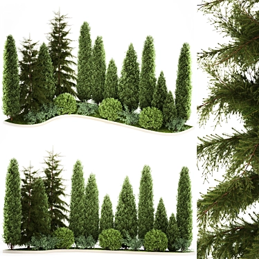 Title: Topiary Collection for Urban Landscaping 3D model image 1 