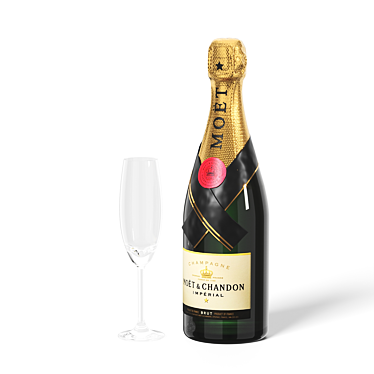 Exquisite Moët Chandon Champagne Bottle 3D model image 1 