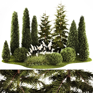 Urban Greenery Set: Cypress, Thuja, Juniper 3D model image 1 