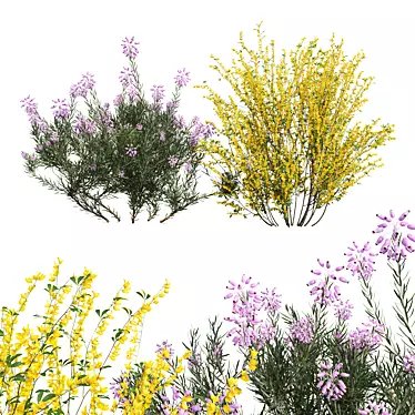  Botanical 3D Plant Models 3D model image 1 