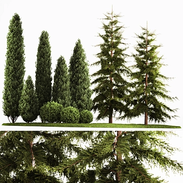 Evergreen Landscape Plant Set - 1155 3D model image 1 