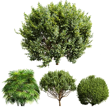  3D Plant Models Bundle Set 3D model image 1 