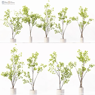 Premium Indoor Plant Collection Set 3D model image 1 