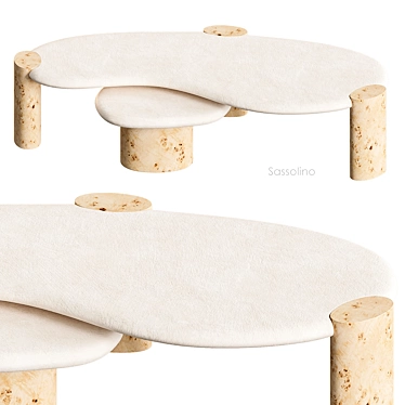 Sassolino Concrete Burl Wood Tables 3D model image 1 