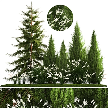  Urban Greenery Collection - Conifers & Grasses 3D model image 1 