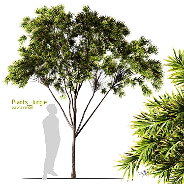 Tropical Greenery Assets Set 3D model image 1 