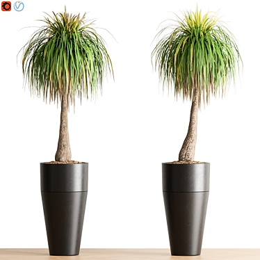  Lush Green Indoor Plant 3D model image 1 