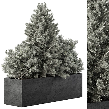 Outdoor Plant Box Selection 494 3D model image 1 