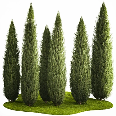 Coniferous Trees Set for Landscaping 3D model image 1 