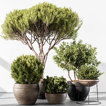 Brighten Your Space with Greenery 3D model image 1 