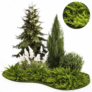 Title: Alpine Plant Collection Set 3D model image 1 