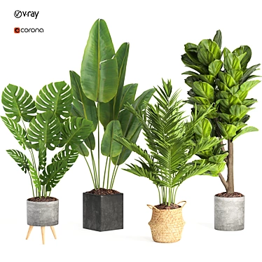 Modern Indoor Plant Collection Set 3D model image 1 