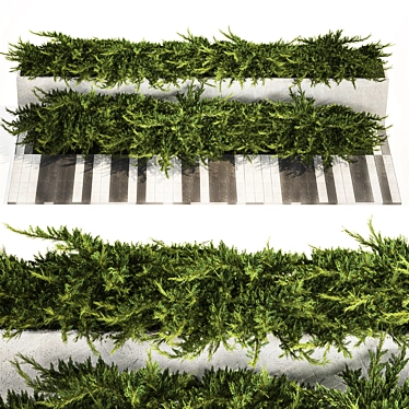 Urban Greenery Collection: Juniper & Cypress 3D model image 1 