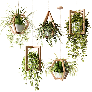 Wooden Hanging Planters with Trailing Plants 3D model image 1 