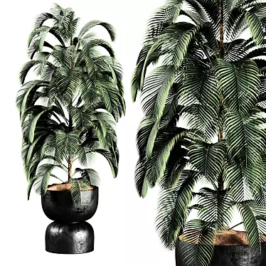 Model Indoor Plant 9 Render 3D model image 1 