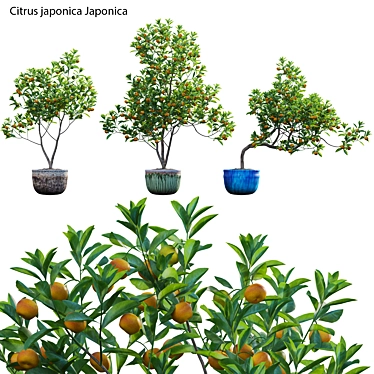 Versatile 3D Plant Models Bundle 3D model image 1 