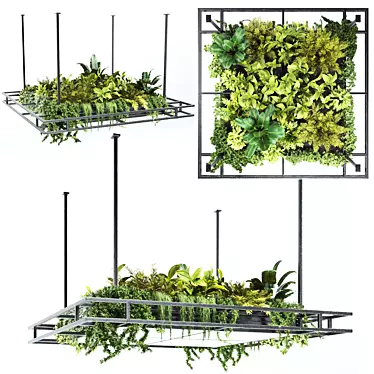 Variety Hanging Plant Set 3D model image 1 