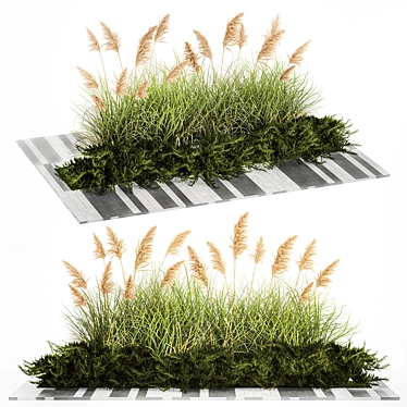 Urban Greenscape Plant Collection 3D model image 1 