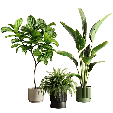 Greenery Bundle // Indoor Plant Collection 3D model image 1 