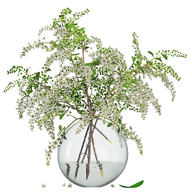  Elegant Bird Cherry Bouquet 3D model image 1 