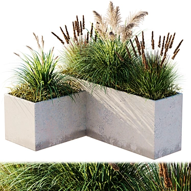 10 Piece Outdoor Plant Set 3D model image 1 