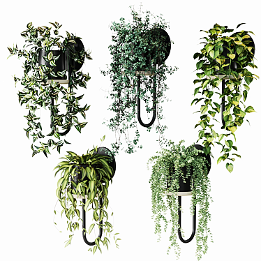 CIGALES WALL Hanging Plants Display 3D model image 1 