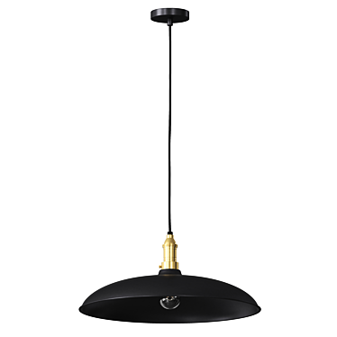 Large Bowl Pendant Light 3D model image 1 