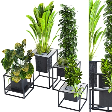 Variety Indoor/Outdoor Plant Collection 3D model image 1 