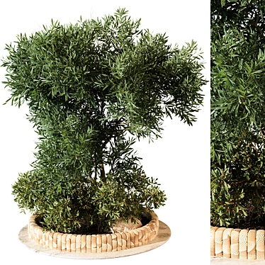 Outdoor Plant 208 3D Model 3D model image 1 