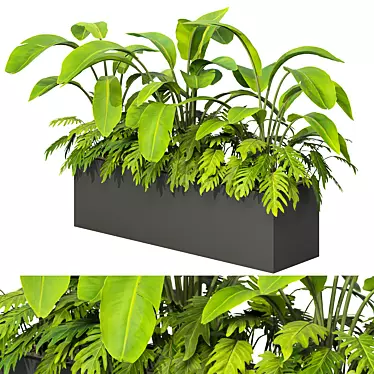 Tropical Outdoor Plant Set 2013 3D model image 1 