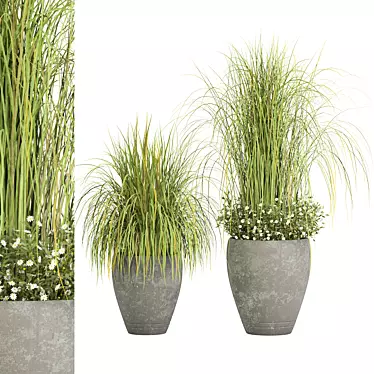 Greenery Trio Outdoor Plant Set 3D model image 1 