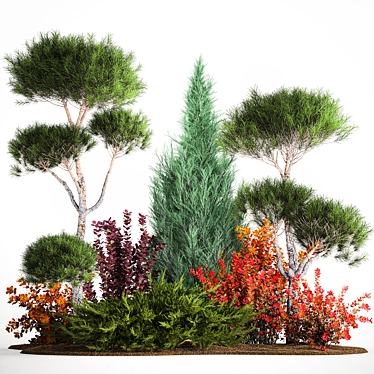 Conifer Collection for Landscape Transformation 3D model image 1 