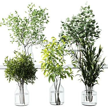 Botanical Greenery Bundle Indoor Display 3D model image 1 