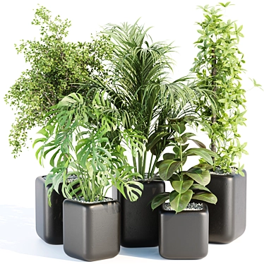  Rare Indoor Plants Collection Vol. 181 3D model image 1 