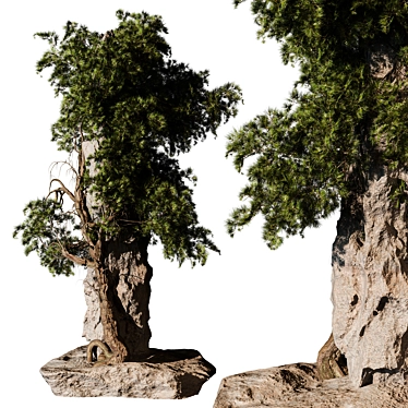 Modern Outdoor Plant 3D Model 3D model image 1 