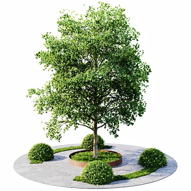 Exterior Plant Set Bundle 11 3D model image 1 