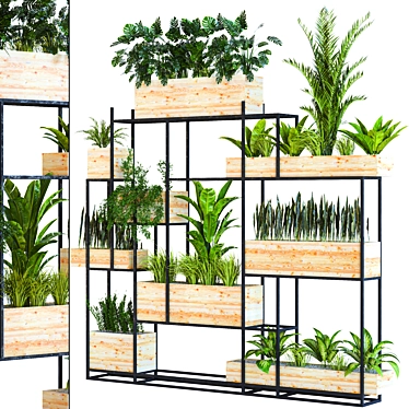 Diverse Indoor & Outdoor Plant Collection 3D model image 1 