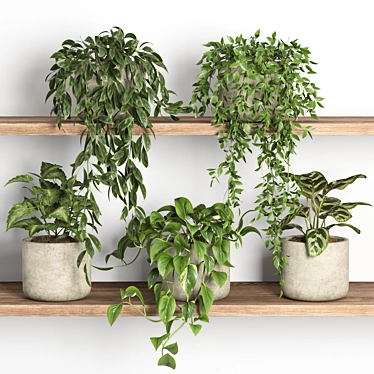 Modern Plants Shelf Display Stand 3D model image 1 