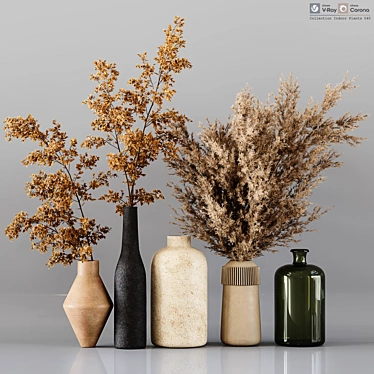 Premium Indoor Plant Collection Model 3D model image 1 