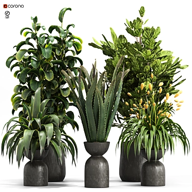 Botanica Set: Lush Indoor Greenery 3D model image 1 