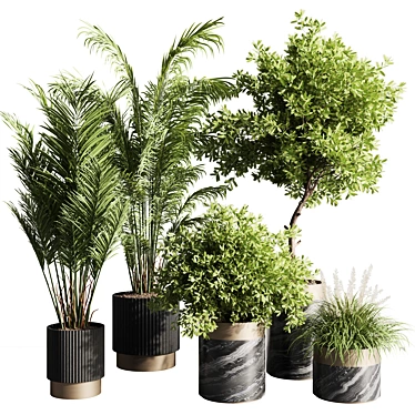 Modern Indoor Plant Set 57 3D model image 1 