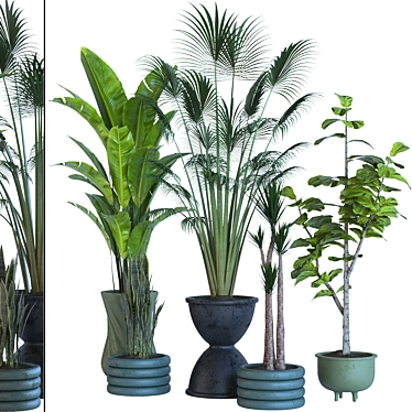 Resizable Indoor/Outdoor Plant Collection 3D model image 1 