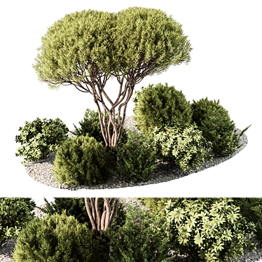 Outdoor Garden Plants Collection 3D model image 1 