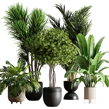 Botanical Bliss Indoor Plant Set 3D model image 1 